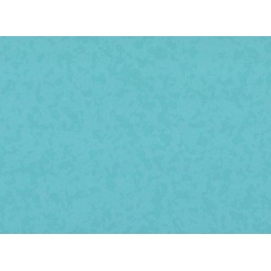 4496 PACIFIC BLUE